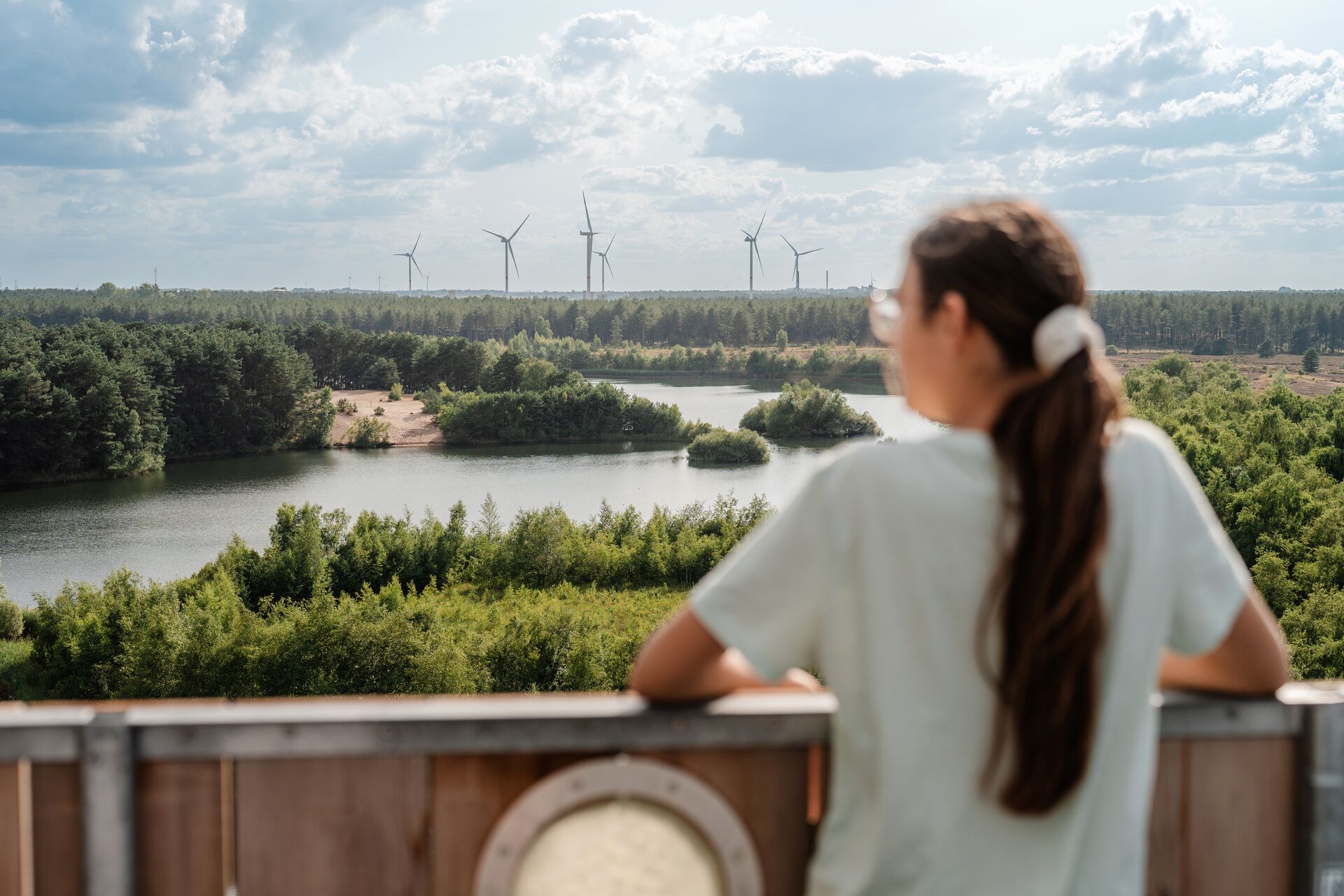 Nationaal Park Bosland Toerisme Vlaanderen - Bosland - Uitkijktoren Lommelse Sahara - Bjorn Snelders - 4 (1)