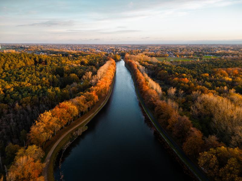 The Hoge Kempen National Park in the Belgian province of Limburg is the first National Park in Belgium! It is a unique nature reserve where more than 12,000 hectares of natural beauty are managed and protected. Extensive pine forests alternate with purple-flowering heathland and drifting dunes, large ponds bear witness to gravel and sand extraction, high peaks offer grand views, .... Numerous rare and special animals live in this natural setting. NP_Hogekempen_(c)ChrisKönig 028