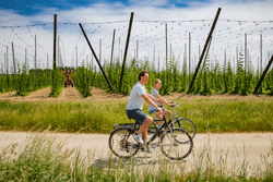 11_WESTTOER recreatie 2020 © Jan DHondt Ateljé D