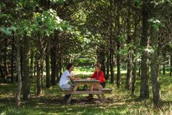 Den Dotter_Picknickbank Geboortebos © Jens Mollenvanger voor Toerisme Oost-Vlaanderen