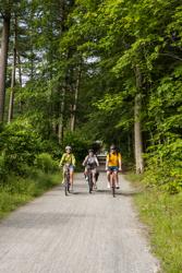 Etalageroute-FietsenVanuitLeuven-Heverleebos-HR-069