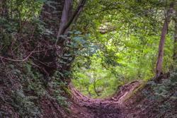 AB_Holleweg (c) Regionaal Landschap Haspengouw en Voeren