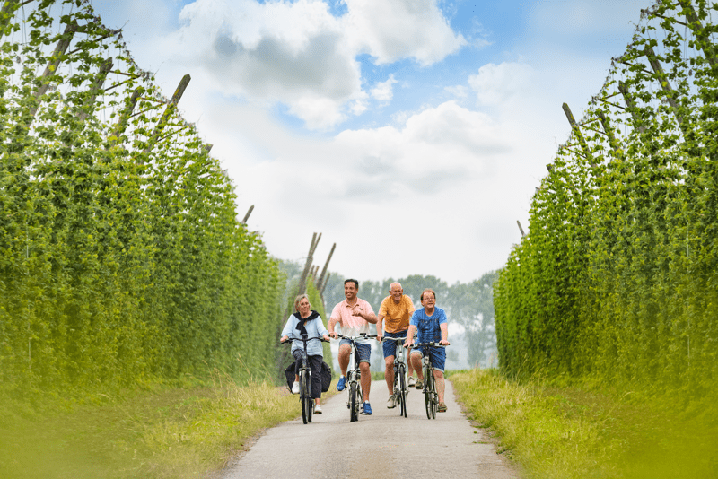 Quatre personnes font du vélo joyeusement sur un chemin bordé de hautes et luxuriantes plantations de houblon sous un ciel clair et partiellement nuageux, évoquant liberté et détente.