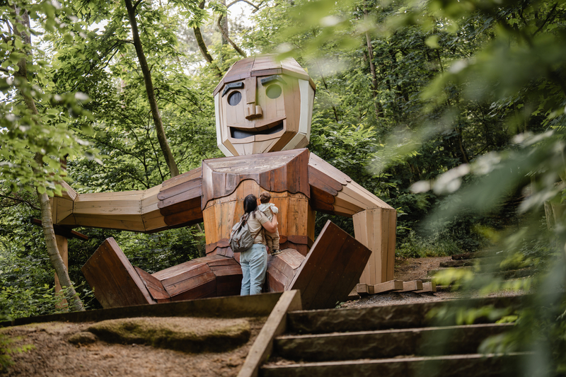 Découverte des trolls dans la forêt