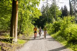 Etalageroute-FietsenVanuitLeuven-Heverleebos-HR-065
