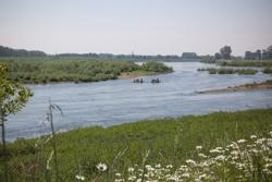 Landschapspark Maasvallei (c) Jean Paul Bardelot 2024 (30)