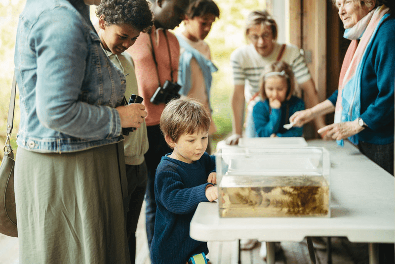 Het Zwin Natuur Park (c) Het Zwin (39)
