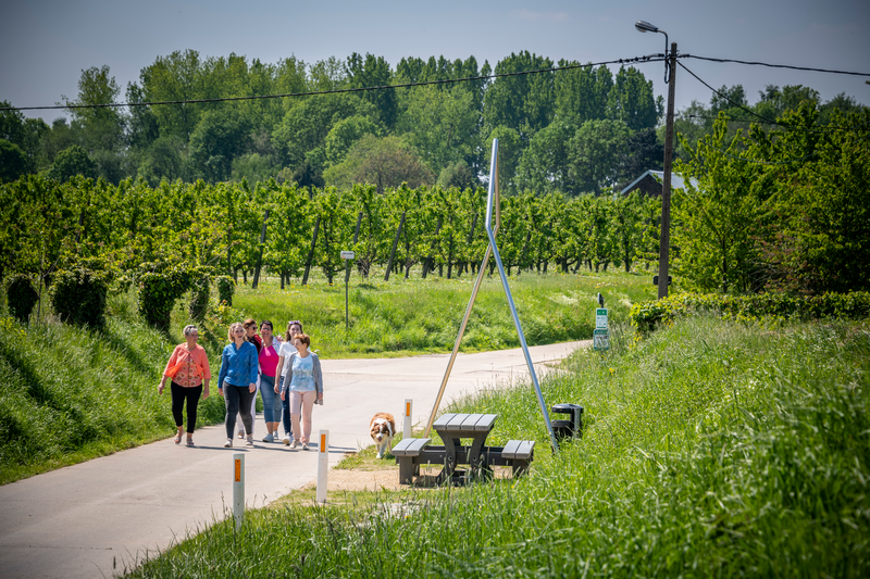 Fruitbeeldig Hageland