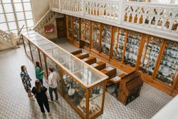 Wintertuin Ursulinen Schoolmuseum (c) Inneke Gebruers