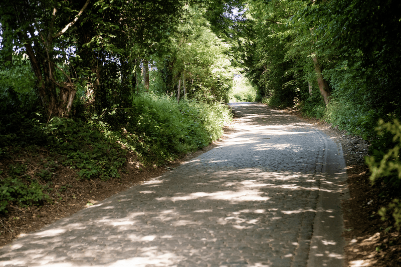 Un sentiero acciottolato e illuminato dal sole si snoda attraverso una foresta verde e rigogliosa, punteggiata da raggi di sole che filtrano tra le chiome degli alberi, evocando pace.