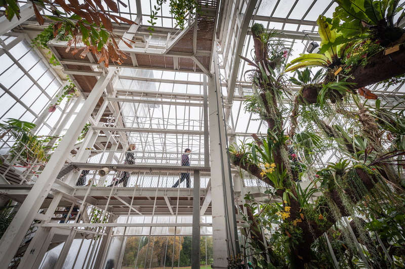 Botanical Garden Meise. Two people visit the Plant Palace at Botanical Garden Meise and walk across a small bridge.
