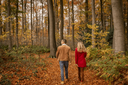 Flanders Finest Hiking - Muziekbos wandelroute (52)