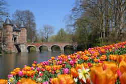Floralia Brussels 2