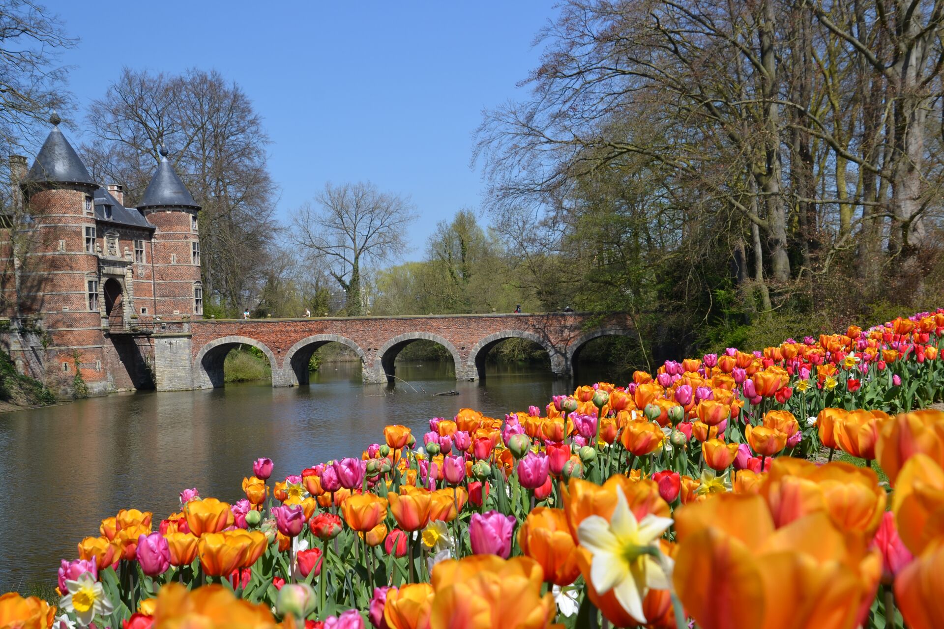 Castello di Groot-Bijgaarden, un paradiso fiorito Castello di Groot-Bijgaarden, un paradiso fiorito