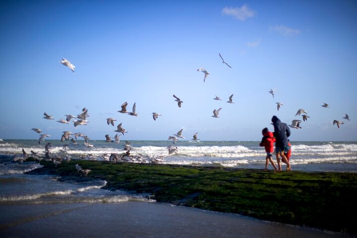 (c) Westtoer Belgian coast 2 © Westtoer