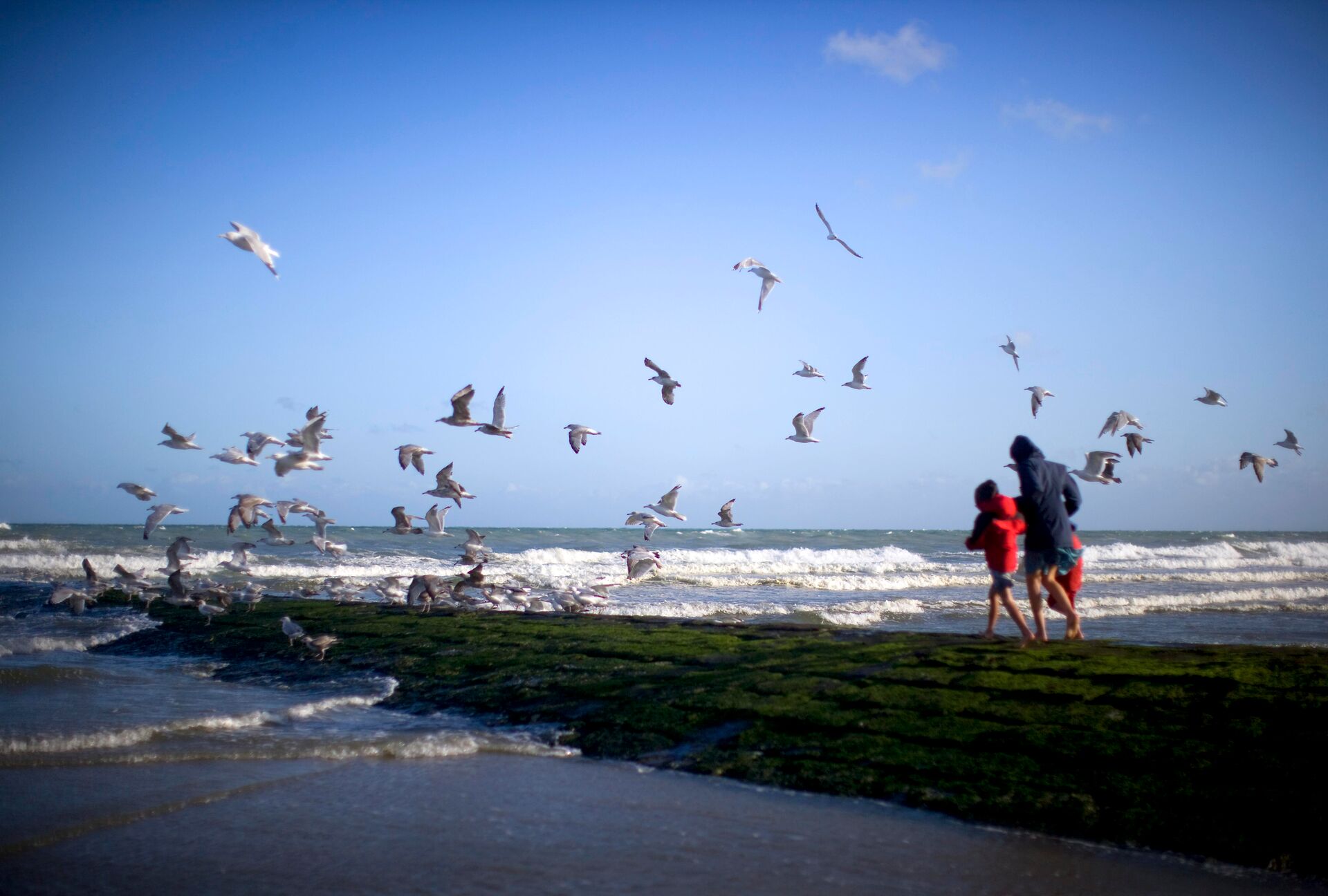(c) Westtoer Belgian coast 2 © Westtoer