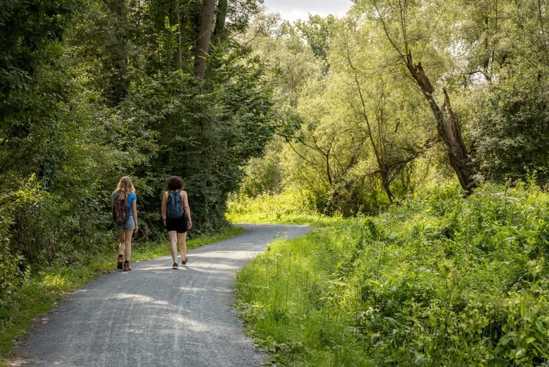 Deux personnes marchent le long d’un sentier sinueux entouré d’arbres et de buissons verts et luxuriants dans une forêt ensoleillée, évoquant une atmosphère paisible et sereine.