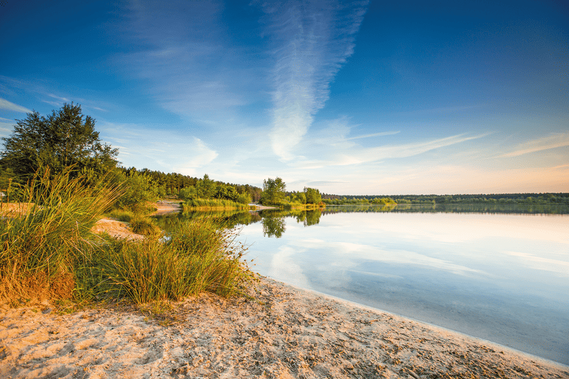 Rustige scène aan het meer bij zonsondergang met een zandige oever, hoog gras en kalm water dat de kleurrijke lucht weerspiegelt. Bomen markeren de horizon. Vredige sfeer.