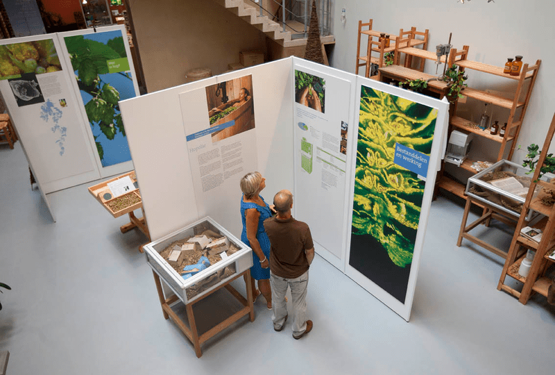 Two people stand in an exhibition with large plant images and text panels. Display cases and wooden shelves with small plants and artifacts surround them.
