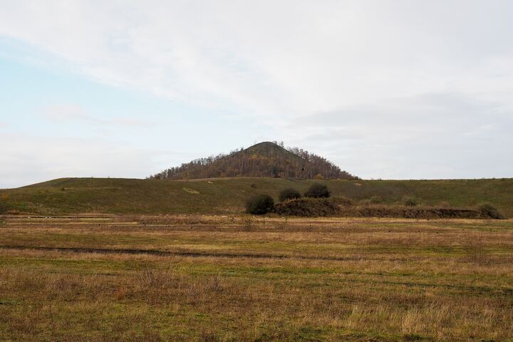 Het Nationaal Park Hoge Kempen in de Belgische provincie Limburg, is het eerste Nationaal Park in België! Het is een uniek natuurgebied waar meer dan 12 000 ha aan natuurpracht beheerd en beschermd wordt.  Uitgestrekte dennenbossen worden afgewisseld met paarsbloeiende heide en stuivende duinen, grote waterplassen getuigen van grind- en zandwinning, hoge toppen bieden grootse vergezichten, .... In dit natuurlijke decor leven tal van zeldzame en bijzondere dieren. 

Het Nationaal Park is er enerzijds ter bescherming van de natuur, en anderzijds ter recreatie van de mens. Zo vinden wandelaars hun gading op de 440km aan wandelpaden, fietsers vermaken zich op het fietsroutenetwerk, mountainbikers hebben 200km onverharde paden ter beschikking, en ruiters genieten van een uitgebreid ruiternetwerk. Voor ieder wat wil(d)s!

Het enorme natuurgebied heeft 9 toegangspoorten. Dit zijn plekken aan de rand van het Nationaal Park met alle nodige faciliteiten zoals een ruime parking, infoborden, horeca, toiletten, enzoverder.