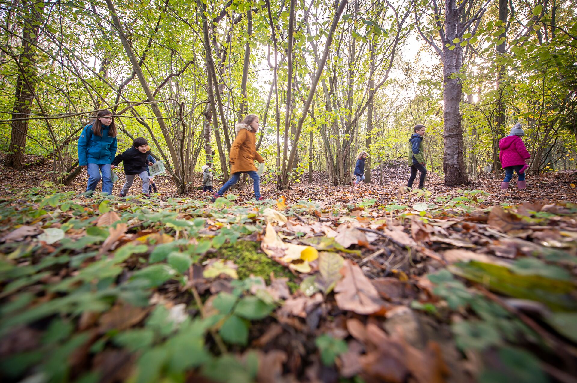 Mechels Rivierengebied - Kauwendaal 20 © Kris Jacobs