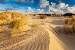 De Panne Westhoekreservaat, De Panne (c) Bart Heirweg (1)