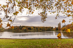 Flanders Finest Hiking - Voer- en Warandewandeling Tervuren (23)