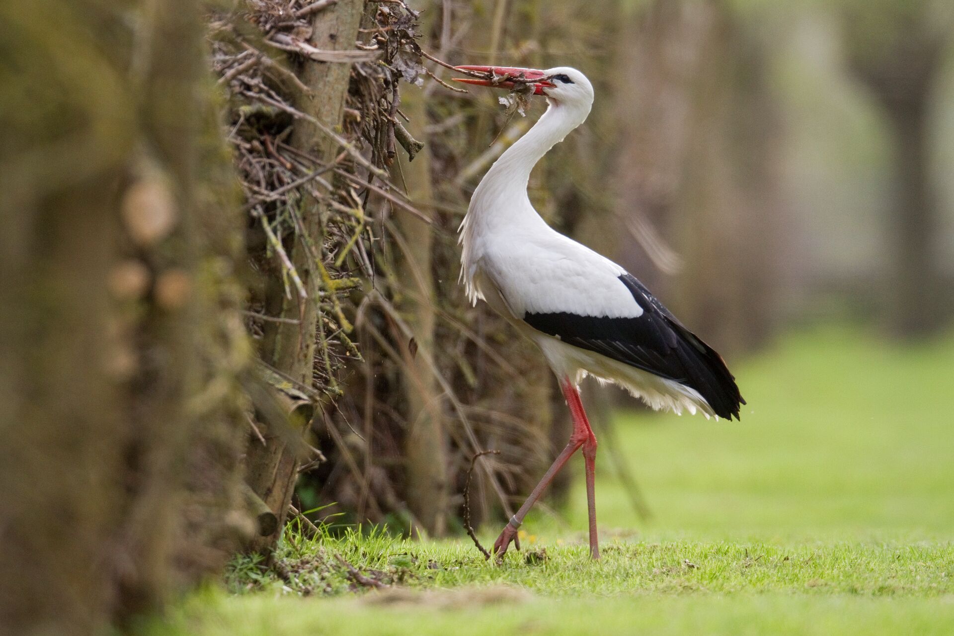 Het Zwin © Provincie West-Vlaanderen