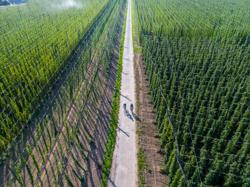 13 WESTTOER Poperinge Kerselaredreef © Jan D’Hondt 0142