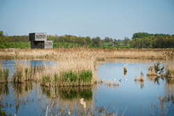 Provinciedomein Het Vinne11_ © Lander Loeckx