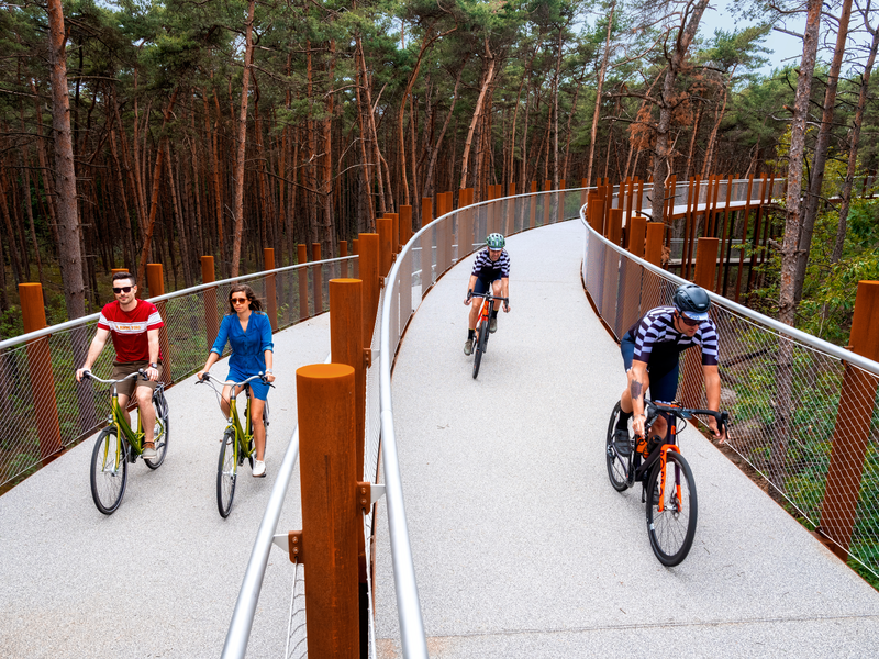 Fietsen door de bomen 2 © Toerisme Limburg