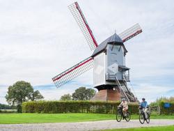 Flanders by bike: Fietsroute 'Fietsen door de bomen' Molens langs de route