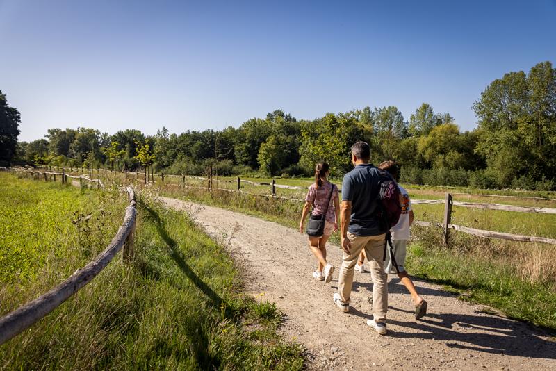 Flanders Finest Hiking - Vlaams-Brabant - Broekem wandeling (119)