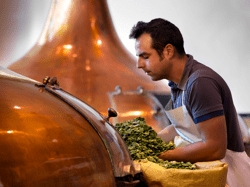 Hop toevoegen Brewery Westmalle - Antwerp 16 © www.milo-profi.be