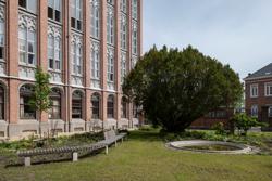 Stap binnen in de betoverende wereld van het voormalig internationaal meisjespensionaat in Onze-Lieve-Vrouw-Waver. Laat je leiden langs indrukwekkende hoogtepunten van het historische gebouwencomplex en bezoek de adembenemende wintertuin in art-nouveaustijl uit 1900. Wintertuin Ursulinen (c) Koen Van Damme