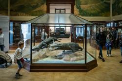 Royal Museum for Central Africa AfricaMuseum Tervuren © PHOTO © Christophe Vander Eecken - LAIF