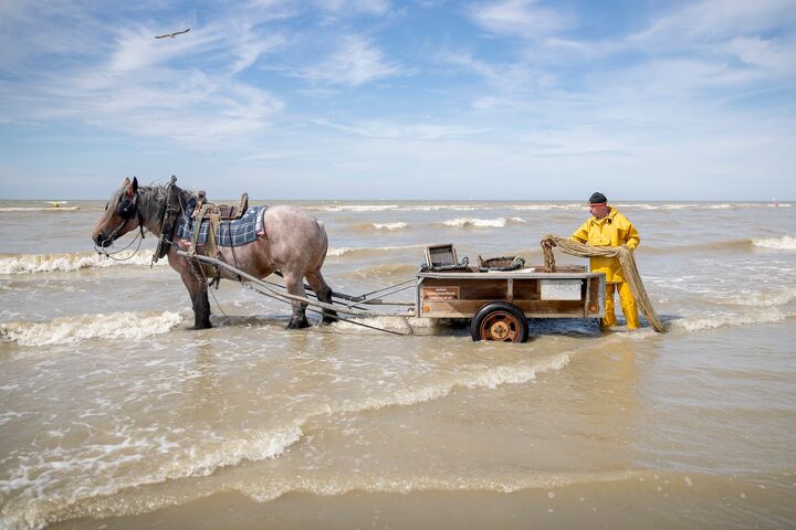 Oostduinkerke Shrimp Fisherman © Westtoer APB