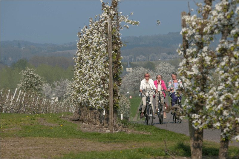 Fietsen tussen de bloesems © Guy van Grinsven - Studiopress