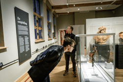 Zaalzicht Hof van Busleyden Maria Faydherbe (c) Sophie Nuytten 