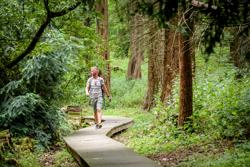 Wandelen in het Zoniënwoud © Lander Loeckx