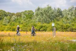 PARKBOS