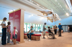 Navigo Visserijmuseum (c) Sofhie Legein – gemeente Koksijde