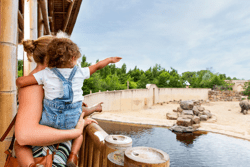 Planckendael (c)Visit Mechelen