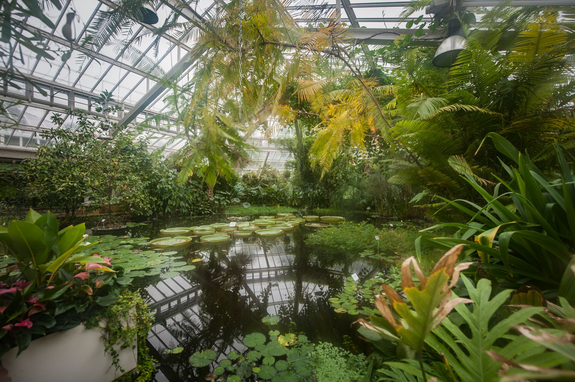 Jardin botanique de Meise Jardin botanique de Meise