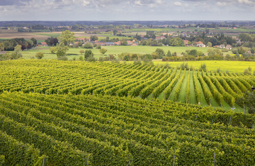 Les plus beaux points de vue du Westhoek