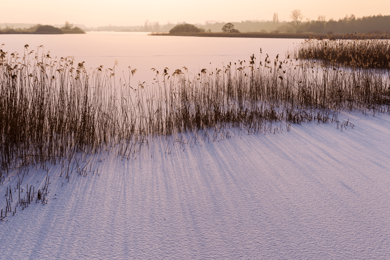 Kempenbroek stiltegebied (9) © Erwin Christis