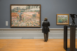 (c) Martin Corlazzoli - COR00458 De Begonia's Jenny Montigny MSK Gent