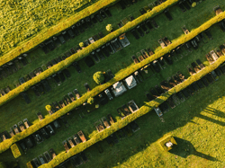 Schoonselhof (c) Veggiewayfarer (1)