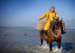 (c) Toerisme Oostduinkerke, Westtoer Oostduinkerke 03 © Toerisme Oostduinkerke, Westtoer